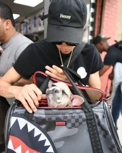 3AM PET CARRIER