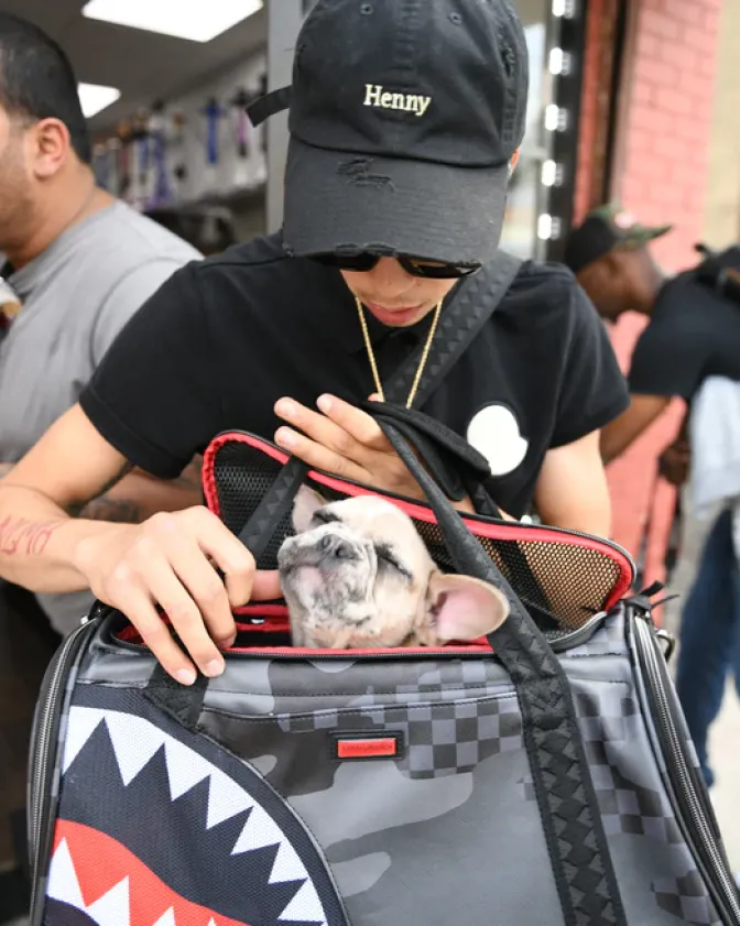 3AM PET CARRIER