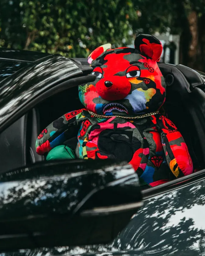 CAMOBURST MONEYBEAR TEDDYBEAR BACKPACK