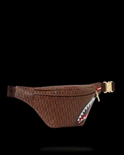 CASHIN CHECKS SAVVY CROSSBODY