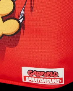 GARFIELD CAT SCRATCH (DLXR)