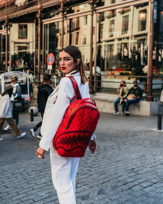 MONEYGRAM BRICK BACKPACK (DLXV)