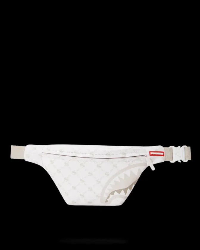 MONEYGRAM POWDER SAVVY CROSSBODY