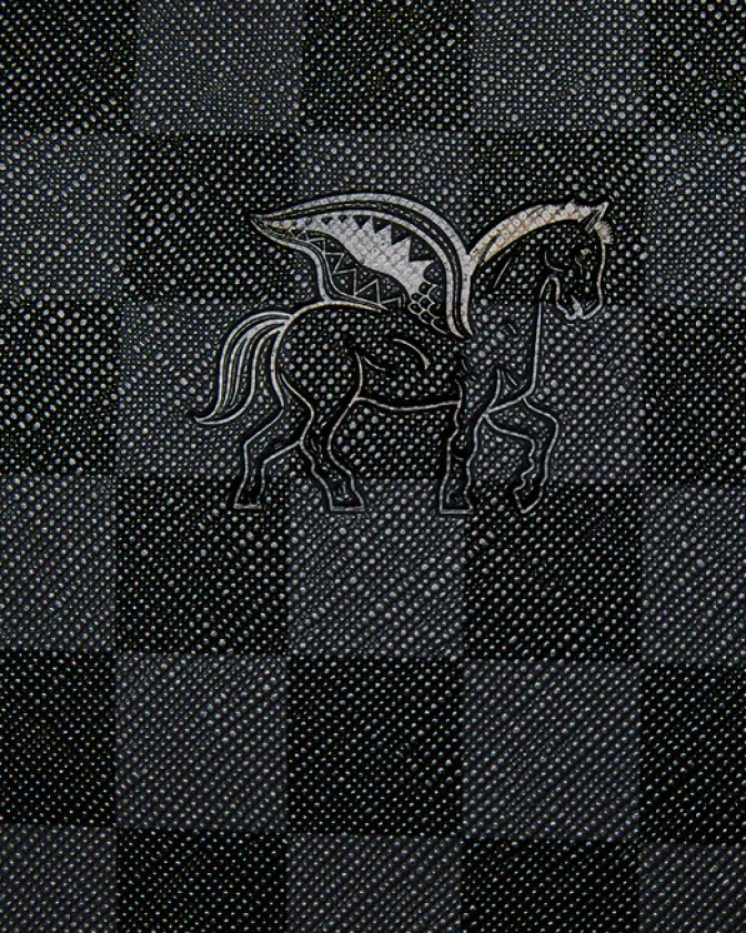 RACEWAY SHADOW PHANTOM HALF BOX BACKPACK (DLXV)