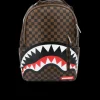 SLEEK SHARKS IN PARIS (BROWN)