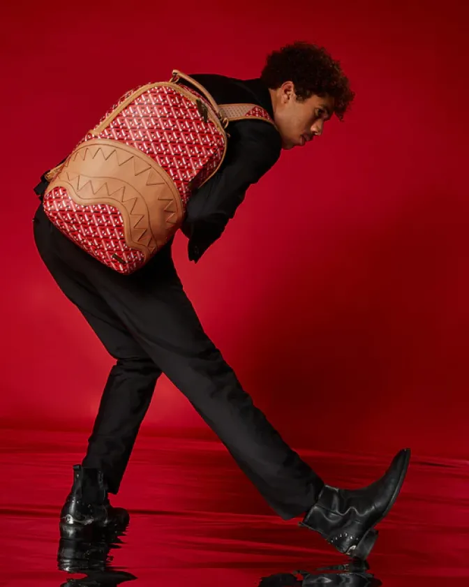 THE 3DSG CONCORDE BACKPACK