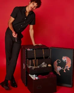 VANQUISH II WARDROBE TRUNK